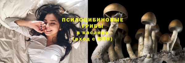 ешки Кукмор