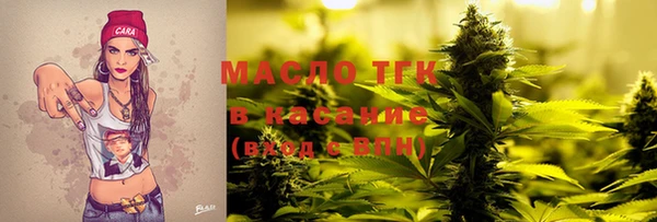 индика Кострома