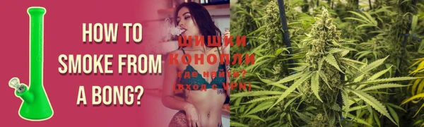 дживик Мурманск