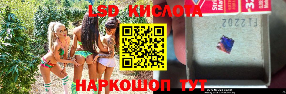 цена   Вход с VPN  Торжок  Марки 25I-NBOMe 1,8мг 