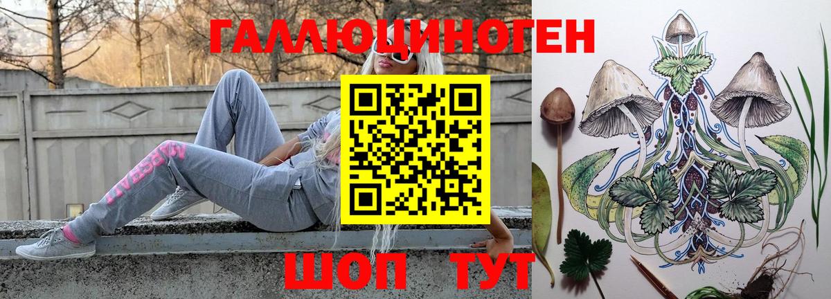 Торжок  Псилоцибиновые грибы Psilocybine cubensis  Вход с VPN  Галлюциногенные грибы Psilocybine cubensis 