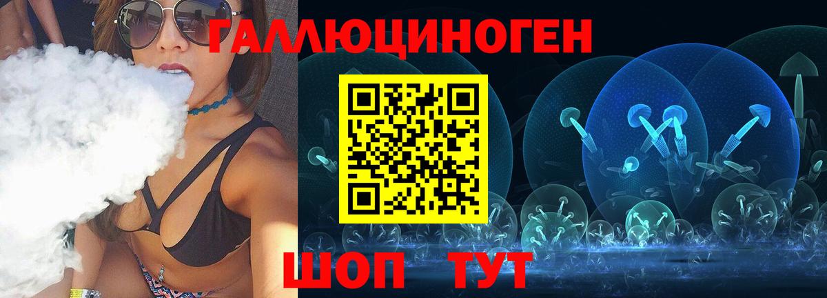 Псилоцибиновые грибы Cubensis Торжок